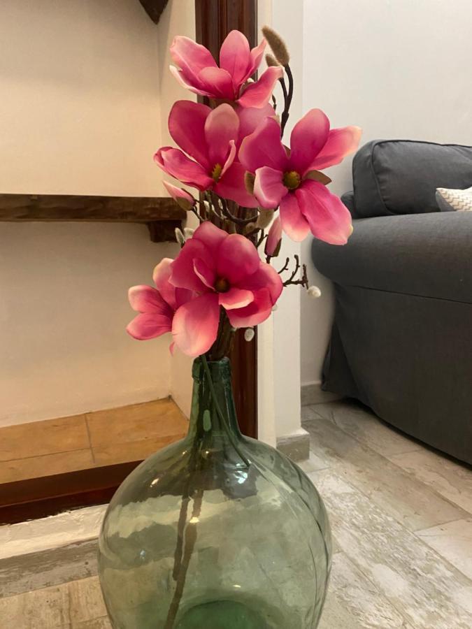 Apartamento La Pepa - Santa Cruz De La Palma Santa Cruz de la Palma  Εξωτερικό φωτογραφία